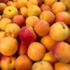 Apricots (Heritage variety) - 500g