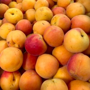 Apricots (Heritage variety) - 500g