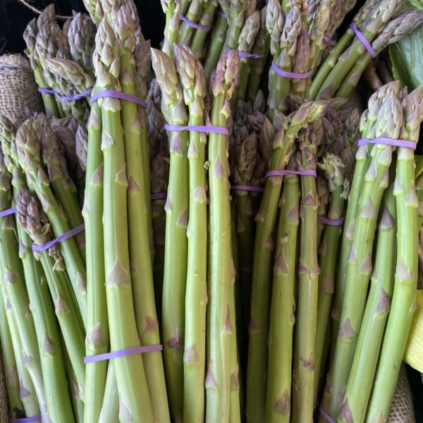 Asparagus - Bunch