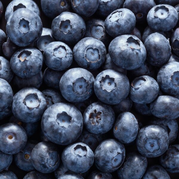 Blueberry - Punnet (125g)