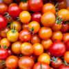 Tomato - Baby roma on vine - 250g (approx 1 small punnet)