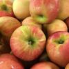 Apples - Gala (New Season) - 500g (approx 3 - 4 apples)