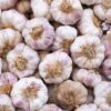 Garlic (organic) - Each