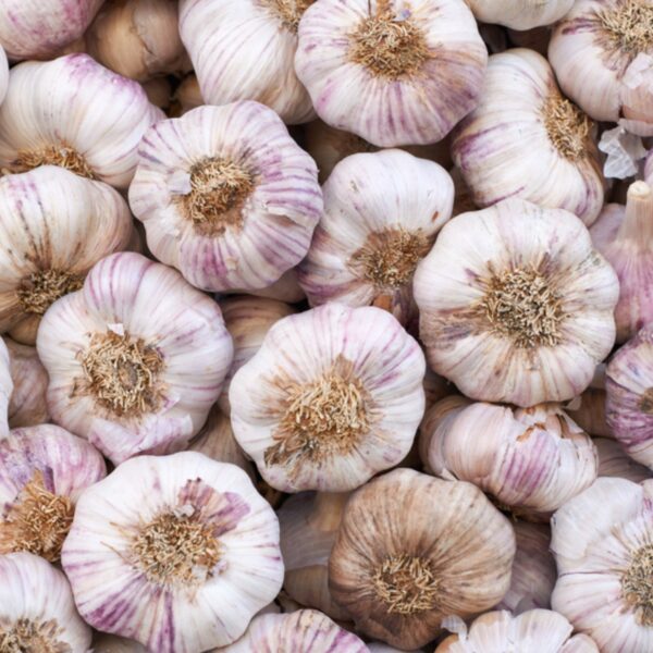 Garlic (organic) - Each