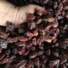 Dried Sugar Plums (New season) - 500g