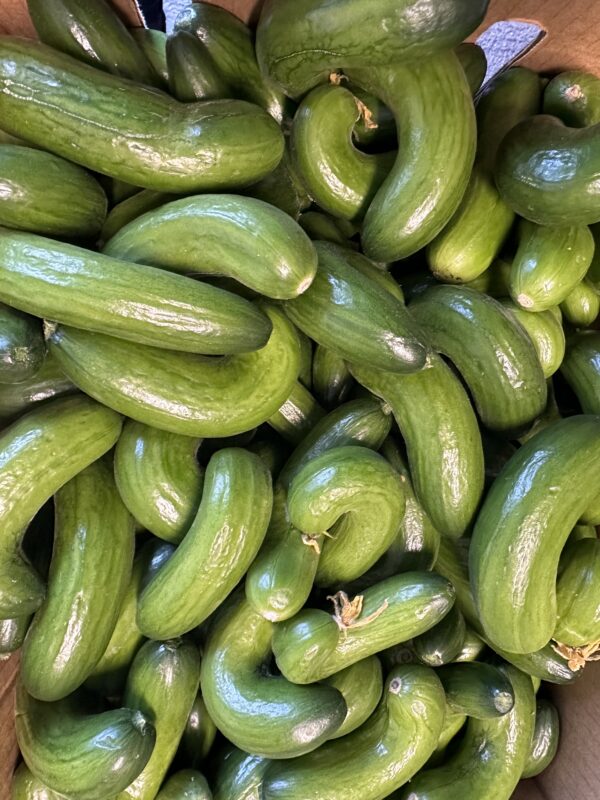 Cucumber - Baby - 400g - Image 2