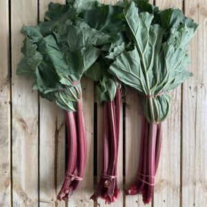 Rhubarb - Bunch