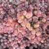 Grapes - Long Red Crimson - 1kg