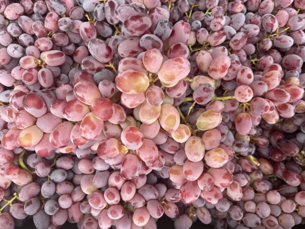 Grapes -Red - 1Kg