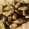 Potato - Kipfler - 500g