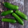 Cucumber - Lebanese - 500g (approx 3 – 4 cucumbers)