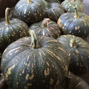 Pumpkin - Jap - Half (approx. 2.5kg)