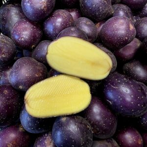 Potato - Royal Blue Cocktail - 1kg