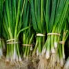 Shallots - Bunch