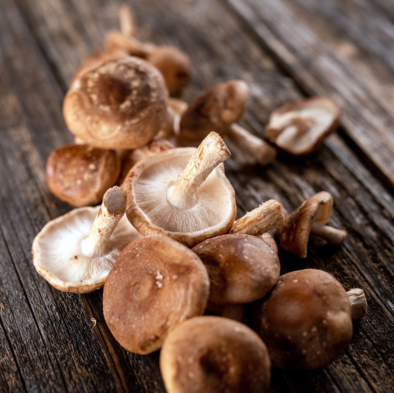 Mushrooms Shiitake 100g Farmer Son