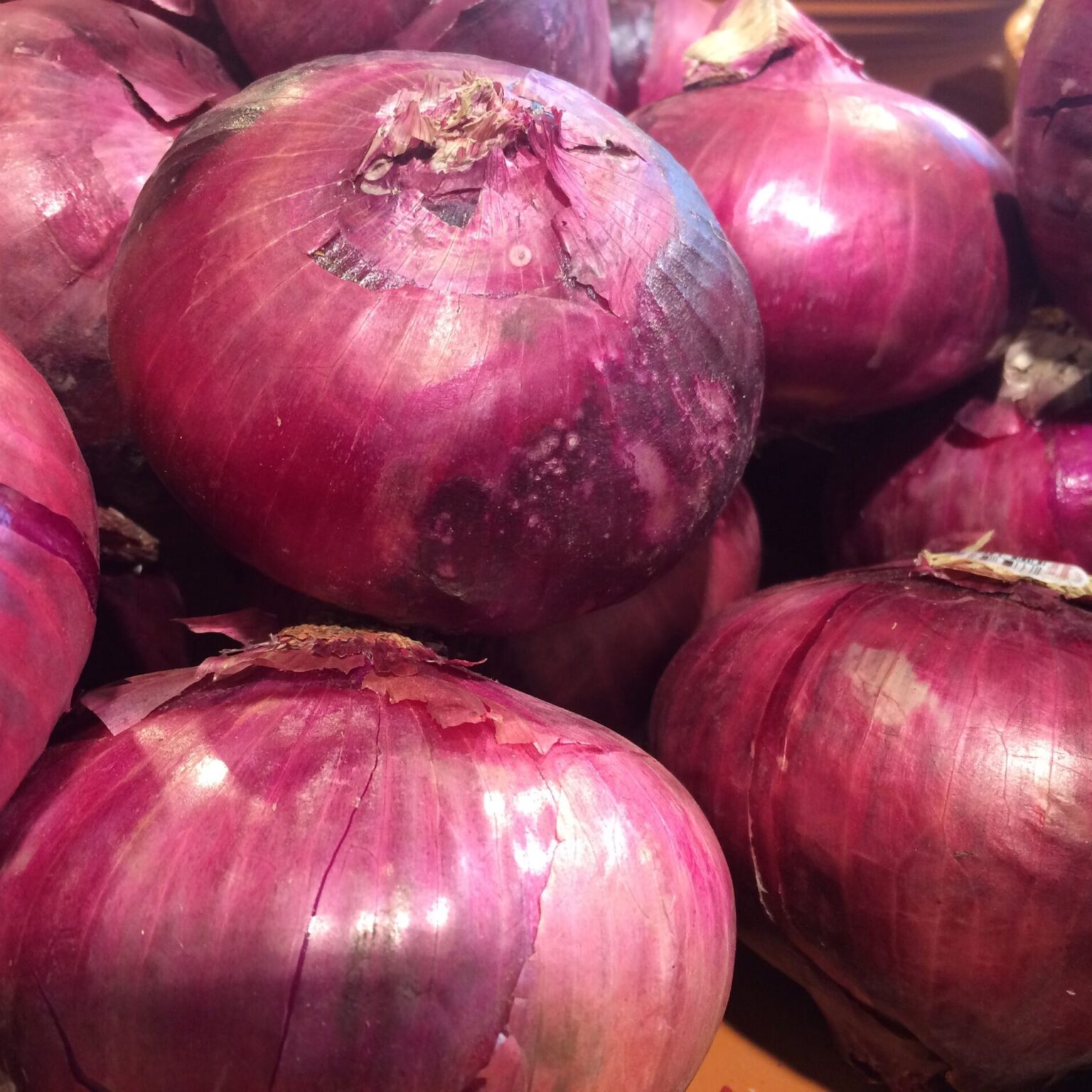 Onion Spanish 500g Farmer & Son