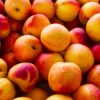 Nectarines - Yellow - 500g