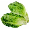 Lettuce - Baby Cos - Each