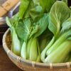 Bok Choy - Bunch