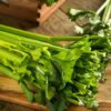 Celery - Bunch