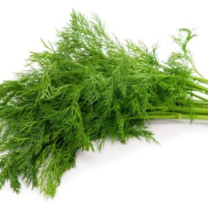 Dill - Bunch