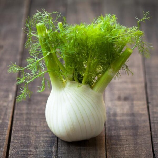 Fennel - Bulb