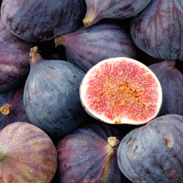 Figs - SPECIAL - 6 for $10