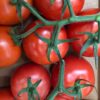 Tomato - Loose Round - 500g