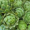 Artichoke - Globe (Green/ Purple; cert. organic) - SPECIAL - 3 for $10