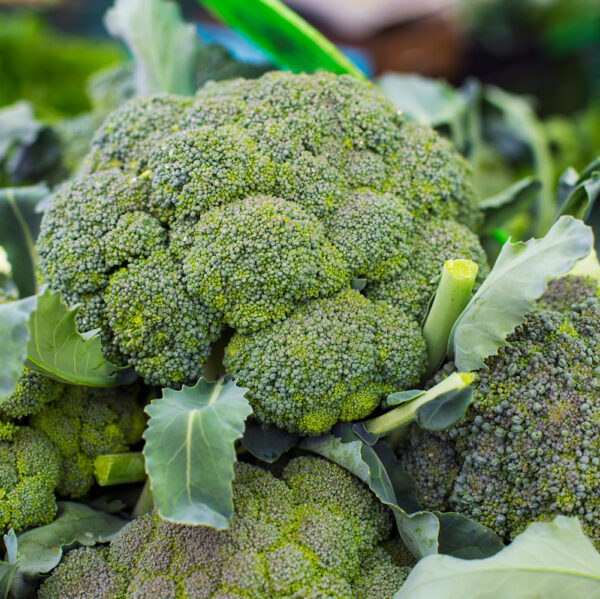 Broccoli - Each (approx. 300-400g)