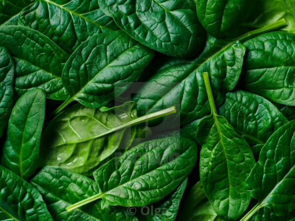 Baby -Spinach -Bag 130g