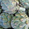 Artichoke - Globe (Green/ Purple; cert. organic) - Each