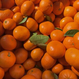 Mandarin - Afourer (seedless) - SPECIAL - 2kg for $10