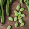 Broad Beans - 500g