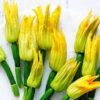 Zucchini Flowers - Punnet of 6