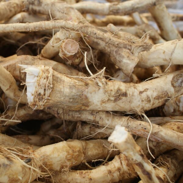 Horseradish - 150g