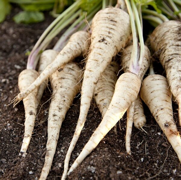 Parsnips - 500g