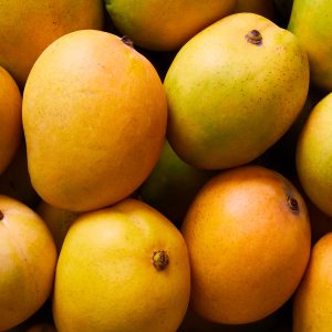 Mango - Kensington Pride - Each