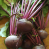 Beetroot - Red - Bunch