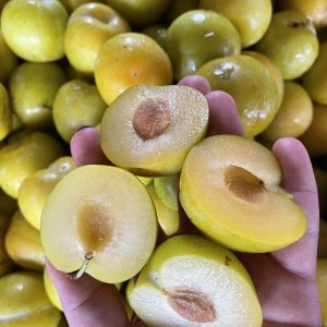 Plum - Sweet Yellow - 500g