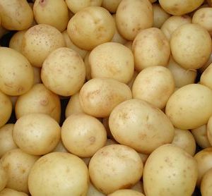 Potato - Cocktail - 500g
