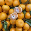 Imperial Mandarins - 500g