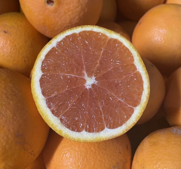 Oranges - Navel Cara Cara (wax free) - SPECIAL - 2kg for $7