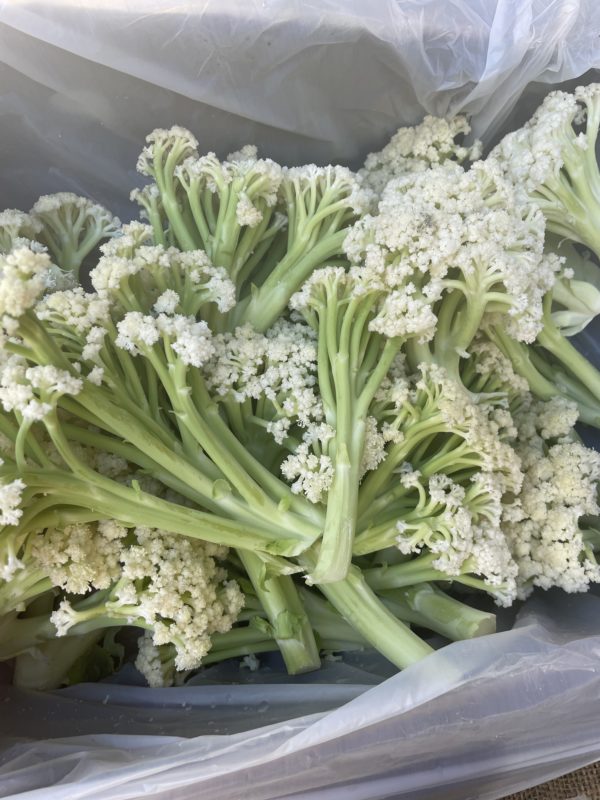 Fioretto (Cauliflower Blossom) - 250g