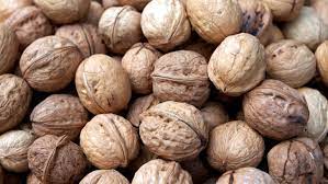 Walnuts (in shell) - 500g