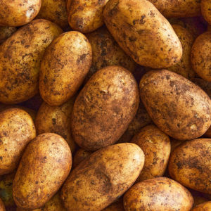 Potato - Dutch Cream - 1kg