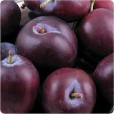 Plum - Early Blood - 500g
