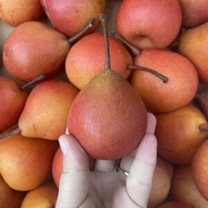 Pear - PiqaBoo - 500g