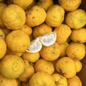 Farm Fresh Yuzu (1pc)