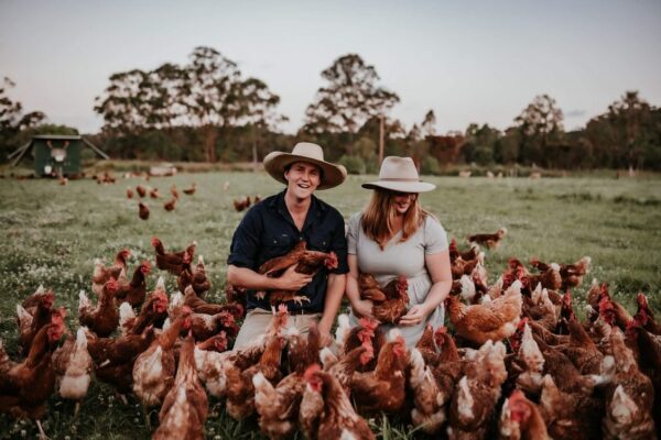 Eggs - The Hen House  (organically pasture raised & free range) - 800g (Weekly) - Image 3
